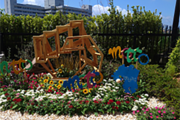 とっと保育園の一人一花運動